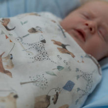 Load image into Gallery viewer, 2 Tier Puppy Love Nappy Cake